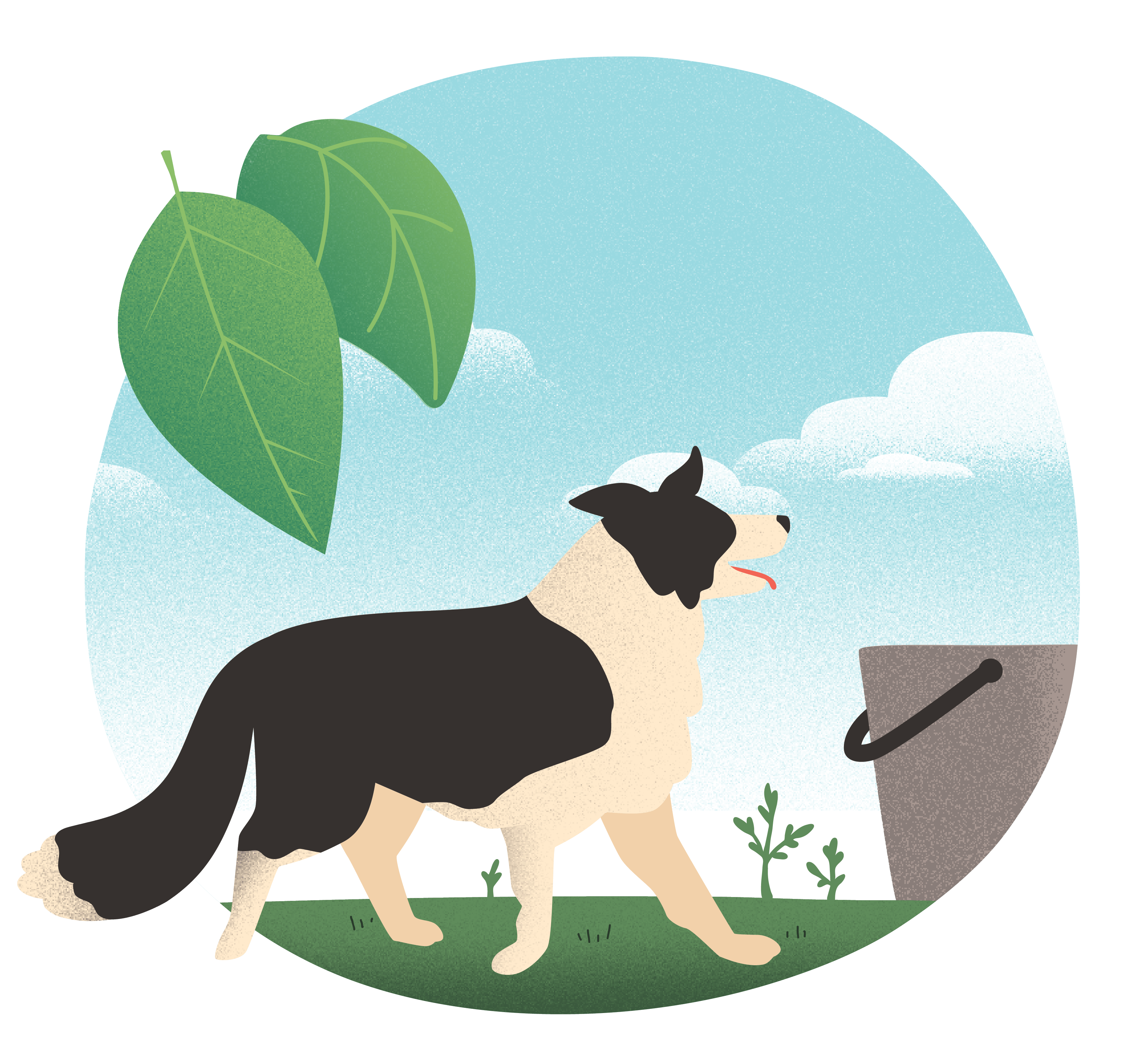 Colostrum Processing Natuurlijke Producten Colostrum Processing Natuurlijke Producten