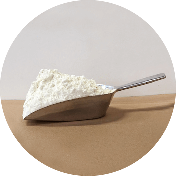 Colostrum Processing Eiwit poeder Colostrum Processing Eiwit poeder